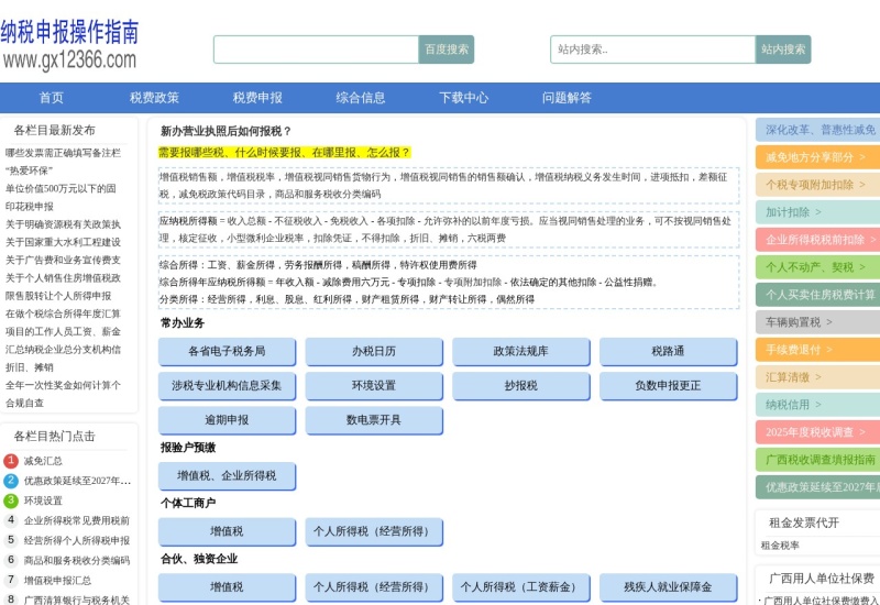 纳税申报操作指南